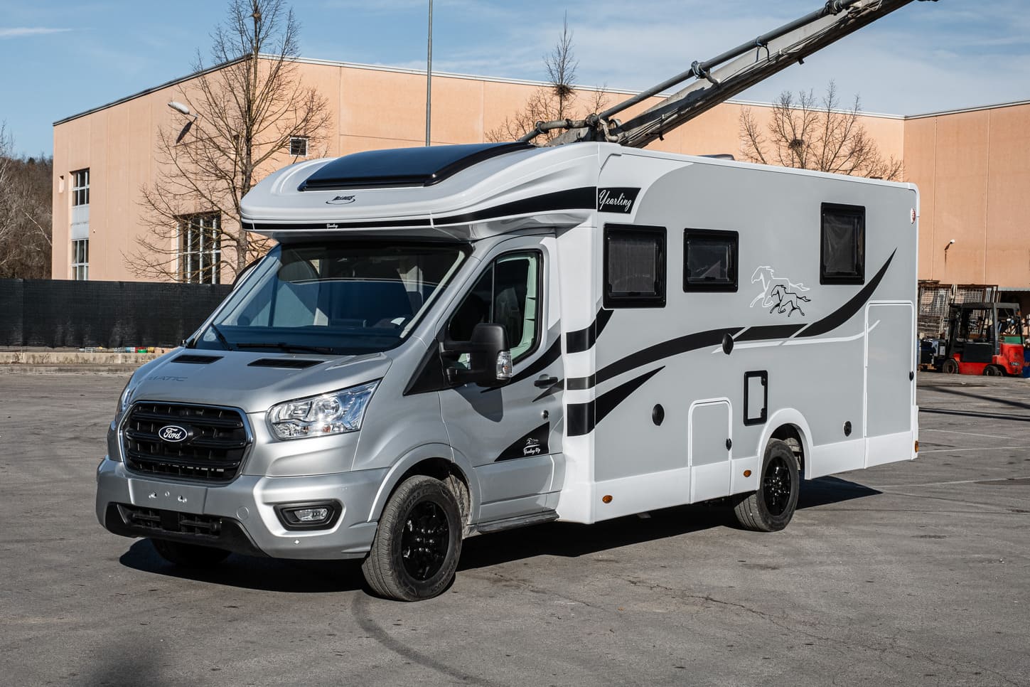 Mclouis-Yearling-81-172